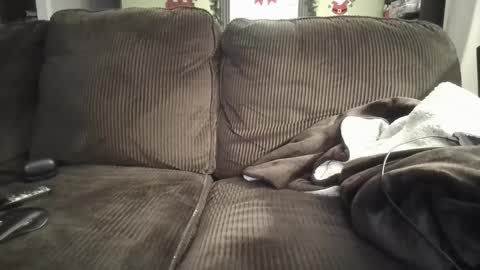 lifer77 online show from December 26, 2024, 5:26 am