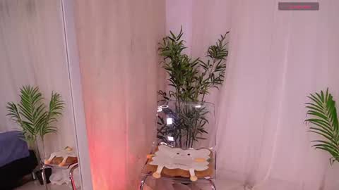 Snapshot of liia_sweett chatting on June 17, 2026, 4:19 pm Lia Sweet online show from June 17, 2026, 4:19 pm