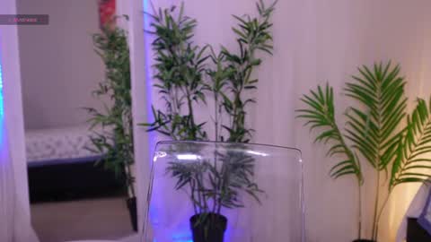 Snapshot of liia_sweett chatting on June 19, 2026, 4:22 pm Lia Sweet online show from June 19, 2026, 4:22 pm