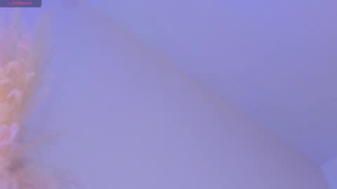 Liiam Luna online show from November 19, 2025, 9:09 am