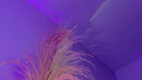 Liiam Luna online show from January 7, 2026, 12:40 pm