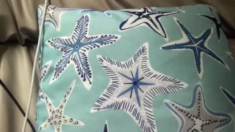 Snapshot of likefhot chatting on November 17, 2025, 5:02 am likefhot online show from November 17, 2025, 5:02 am