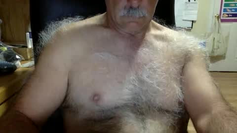 Snapshot of likefhot chatting on March 11, 2026, 1:17 pm likefhot online show from March 11, 2026, 1:17 pm