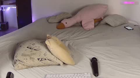 Snapshot of lil_nessa chatting on February 18, 2025, 5:31 am Nessa Greyrat if u like me tip 25 tk and put online show from February 18, 2025, 5:31 am