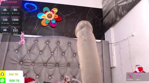   online show from February 24, 2026, 2:37 pm