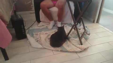 Snapshot of lildicksissy chatting on November 28, 2025, 5:59 pm lildicksissy online show from November 28, 2025, 5:59 pm