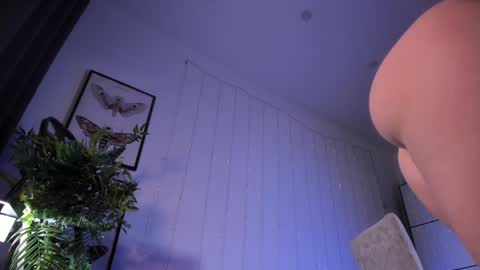 LIL online show from February 6, 2025, 12:16 pm