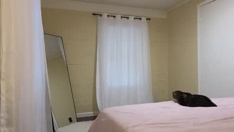 Snapshot of lilly_adams88 chatting on May 21, 2026, 10:28 pm lilly_adams88 online show from May 21, 2026, 10:28 pm