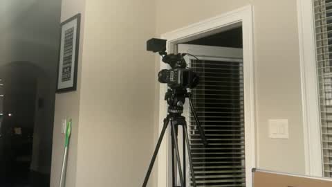 lilnasty100 online show from June 3, 2026, 3:09 am