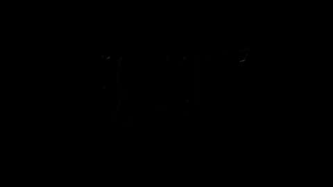 lilpresident online show from February 4, 2025, 10:13 pm