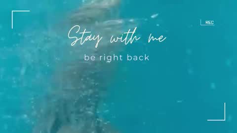 Snapshot of lily_foster_ chatting on September 29, 2025, 11:48 am Lily online show from September 29, 2025, 11:48 am