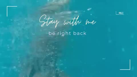 Snapshot of lily_foster_ chatting on November 10, 2025, 6:45 am Lily online show from November 10, 2025, 6:45 am