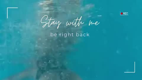 Snapshot of lily_foster_ chatting on November 19, 2025, 12:27 pm Lily online show from November 19, 2025, 12:27 pm