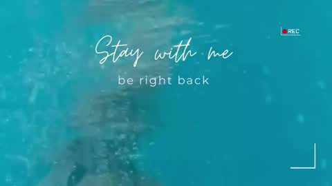 Lily online show from March 6, 2026, 7:38 am