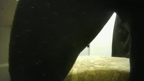 Snapshot of lily_lovelyman_ chatting on December 19, 2024, 9:17 pm lily lovelyman online show from December 19, 2024, 9:17 pm