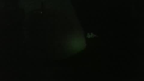 Snapshot of lily_lovelyman_ chatting on December 26, 2024, 4:53 am lily lovelyman online show from December 26, 2024, 4:53 am