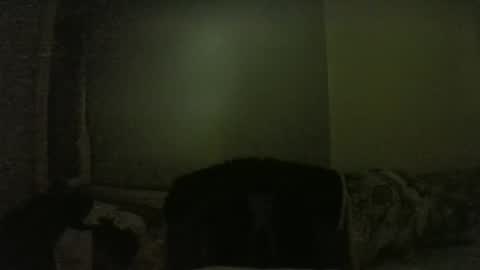 Snapshot of lily_lovelyman_ chatting on February 1, 2025, 6:08 pm lily lovelyman online show from February 1, 2025, 6:08 pm