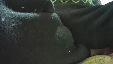 Snapshot of lily_lovelyman_ chatting on February 23, 2025, 7:11 am lily lovelyman online show from February 23, 2025, 7:11 am