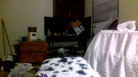 Snapshot of lincolnlongdick chatting on December 30, 2024, 8:15 pm Richie Rich online show from December 30, 2024, 8:15 pm