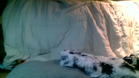 Snapshot of lincolnlongdick chatting on January 13, 2025, 2:39 am Richie Rich online show from January 13, 2025, 2:39 am