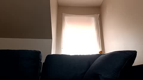 Snapshot of linkutome chatting on January 12, 2025, 6:16 pm linkutome online show from January 12, 2025, 6:16 pm