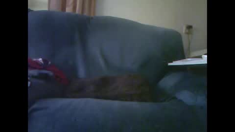 Snapshot of lion160868 chatting on November 28, 2025, 9:23 am lion160868 online show from November 28, 2025, 9:23 am