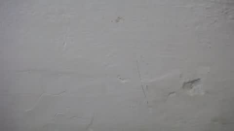 Snapshot of lisa_branch chatting on October 6, 2025, 7:11 pm lisa_branch online show from October 6, 2025, 7:11 pm