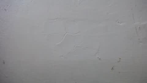 Snapshot of lisa_branch chatting on October 13, 2025, 7:25 pm lisa_branch online show from October 13, 2025, 7:25 pm