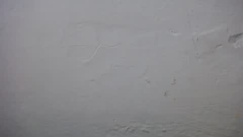 Snapshot of lisa_branch chatting on November 23, 2025, 10:37 am lisa_branch online show from November 23, 2025, 10:37 am