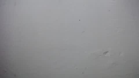 Snapshot of lisa_branch chatting on November 28, 2025, 10:07 am lisa_branch online show from November 28, 2025, 10:07 am