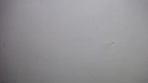 lisa_branch online show from December 18, 2025, 10:54 am