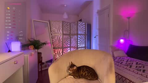 Snapshot of lisamaybe chatting on November 20, 2025, 4:40 pm Lisa online show from November 20, 2025, 4:40 pm