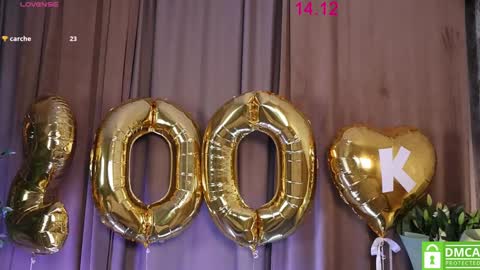 Snapshot of lissa_meooow chatting on December 14, 2024, 3:51 am your Liza again. Next stream Dec. 1 at 2 or 3 GMT online show from December 14, 2024, 3:51 am