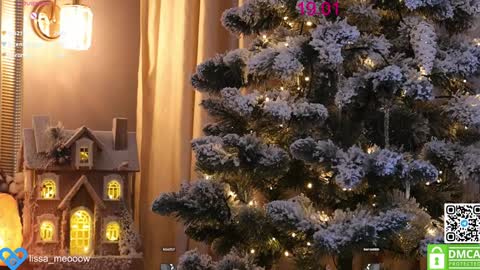Snapshot of lissa_meooow chatting on January 19, 2025, 9:22 am your Liza again. Next stream Dec. 1 at 2 or 3 GMT online show from January 19, 2025, 9:22 am
