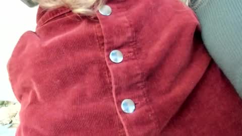 Snapshot of lissacain chatting on October 30, 2025, 5:24 pm Lissa online show from October 30, 2025, 5:24 pm