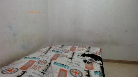 Snapshot of little__scarlet chatting on May 29, 2026, 2:37 pm little__scarlet online show from May 29, 2026, 2:37 pm
