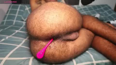 Little bear - give my room a like thanks. online show from April 23, 2026, 2:57 am