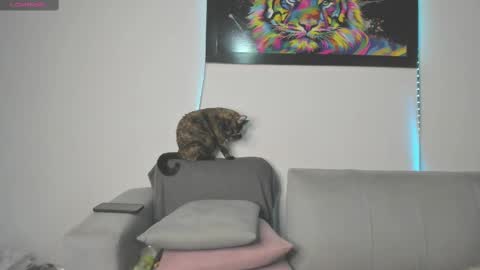 Independent model carolina online show from March 11, 2025, 9:26 pm