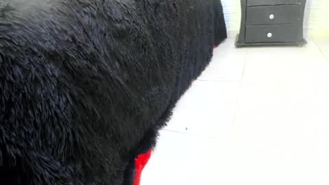 Snapshot of little_mars1 chatting on February 14, 2025, 10:14 pm Misstress Martina online show from February 14, 2025, 10:14 pm