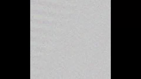 Snapshot of little_pearl_ chatting on February 18, 2025, 11:22 am Adaline online show from February 18, 2025, 11:22 am