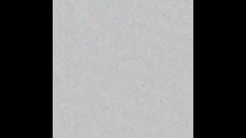 Snapshot of little_pearl_ chatting on November 9, 2025, 7:01 pm Adaline online show from November 9, 2025, 7:01 pm