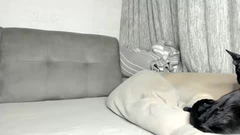 my Instagram  online show from February 21, 2026, 6:09 pm