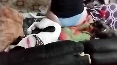 Sady Jayne online show from September 22, 2025, 2:24 am