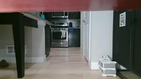 Snapshot of littleclitty247 chatting on September 11, 2025, 9:48 pm Littlleclitty247 online show from September 11, 2025, 9:48 pm