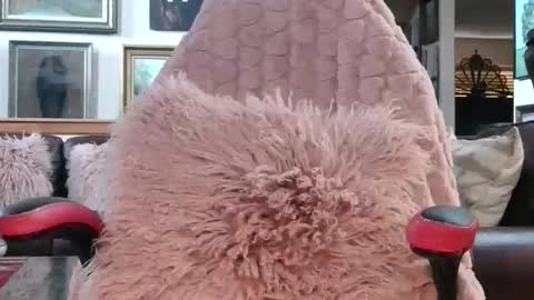 Snapshot of littlepistol chatting on May 5, 2026, 8:28 pm Miss D Shows Mon Wed Fri online show from May 5, 2026, 8:28 pm