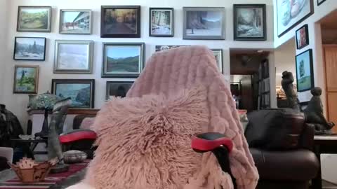 Snapshot of littlepistol chatting on May 18, 2026, 6:36 pm Miss D Shows Mon Wed Fri online show from May 18, 2026, 6:36 pm