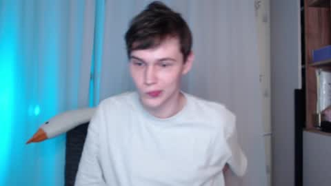 Snapshot of littlesadcabbage chatting on December 19, 2024, 1:07 am Sonnenschein online show from December 19, 2024, 1:07 am