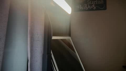 Liz Purr online show from September 23, 2025, 2:42 pm