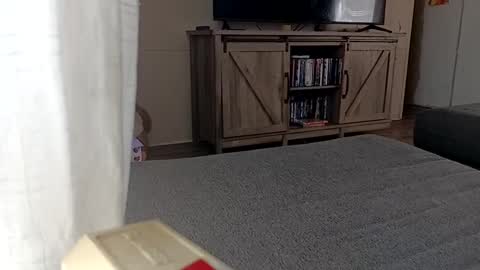 LjCherry online show from September 11, 2025, 5:02 pm