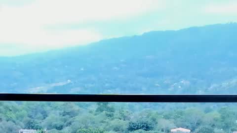 Lynx Mist online show from January 13, 2026, 9:53 pm